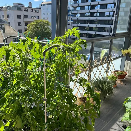Appartement Ons 2024, Sentrum